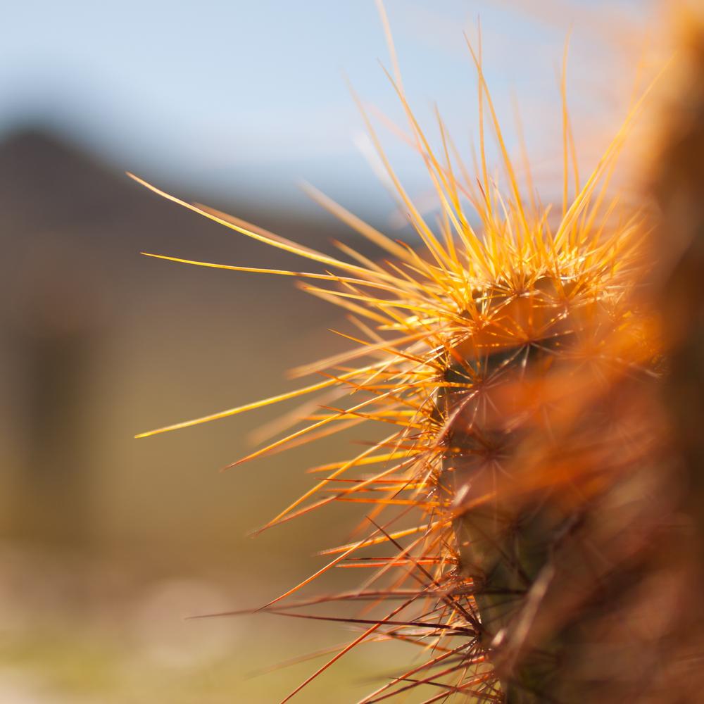 &lsquo;Juntos Unidos pela Vida&rsquo;: CAPS e Ambulat&oacute;rio de Sa&uacute;de Mental promovem a&ccedil;&atilde;o pelo Setembro Amarelo em Franca