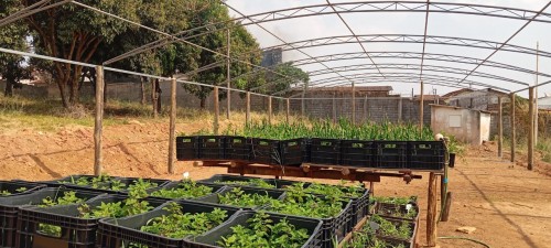 Allan Kardec realiza workshop gratuito sobre Horto Medicinal e sa&uacute;de mental neste s&aacute;bado